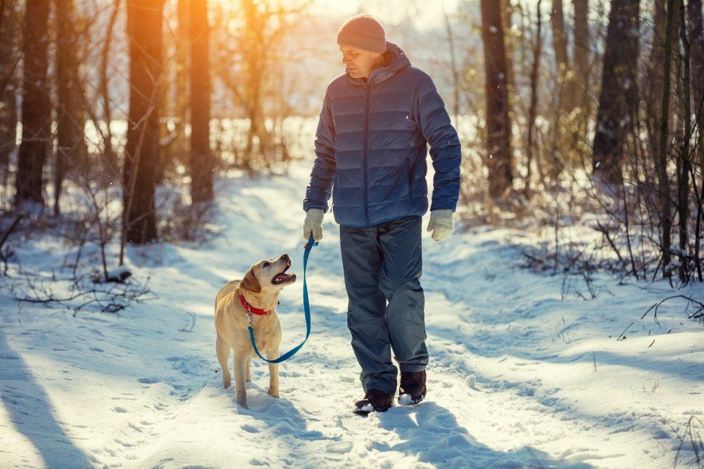 Mies ulkoiluttamassa koiraa keskellä talvea.
