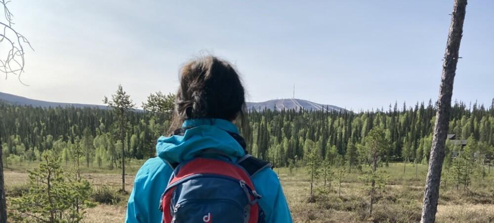 Kuvituskuva. Henkilö kävelee luontopolulla selkä kameraan kohti. Taustalla näkyy tunturi ja suo.