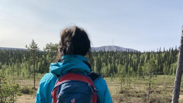 Kuvituskuva. Henkilö kävelee luontopolulla selkä kameraan kohti. Taustalla näkyy tunturi ja suo.